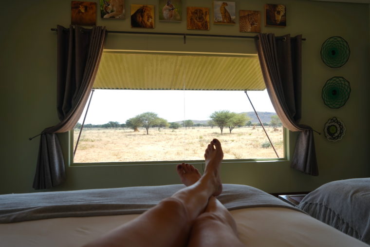 VIEW ROOM PLAINS CAMP OKONJIMA 