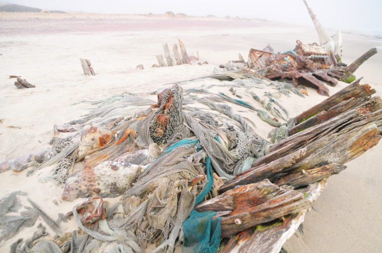 SKELETON COAST