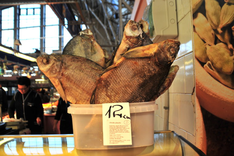 riga sightseeing