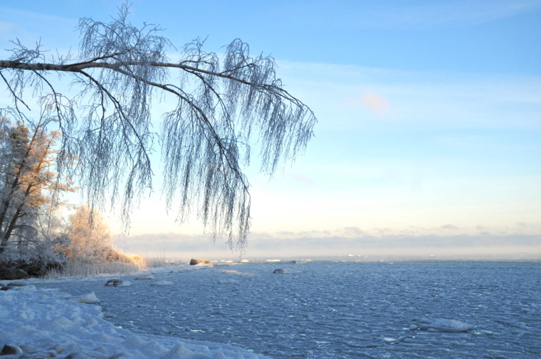 käsmu frozen beach 