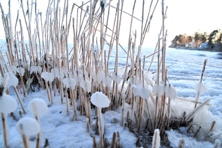 frozen beach estonia visit travel