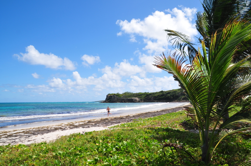 schönste strände auf martinique