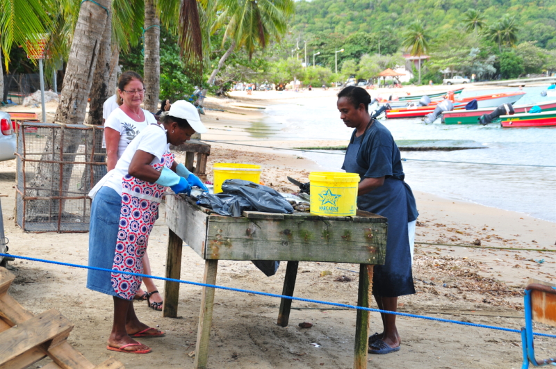 fischer dorf martinique