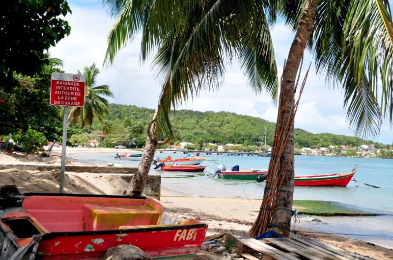martinique reisebericht