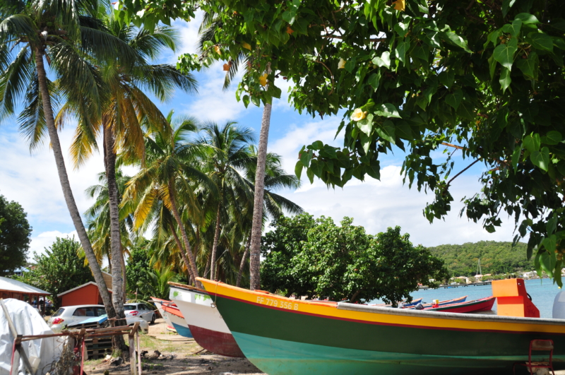 trinite martinique fisher vilage
