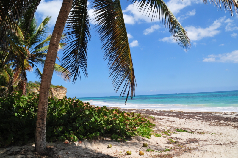martinique travel guide travel blogger 