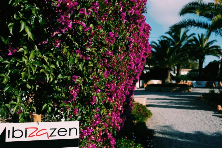 ibizazen hotel ibiza