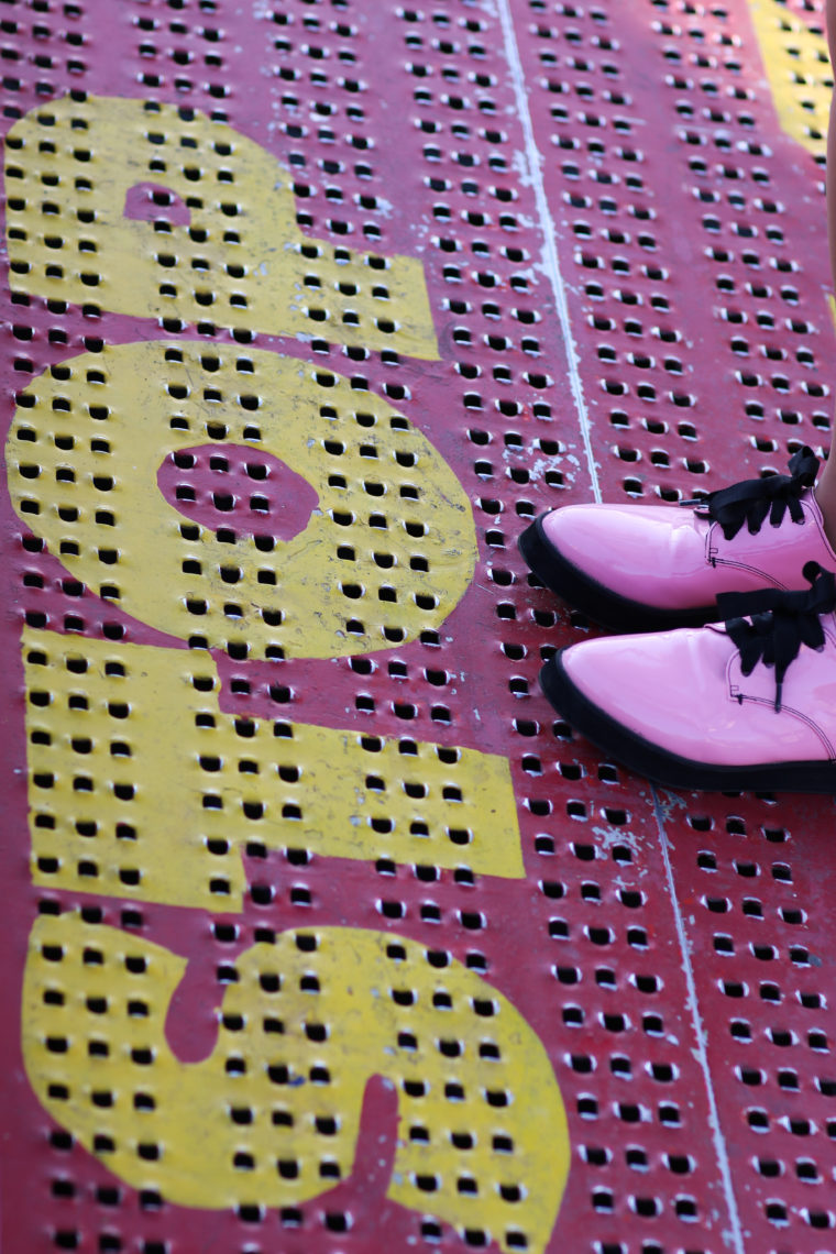 pink rose creepers
