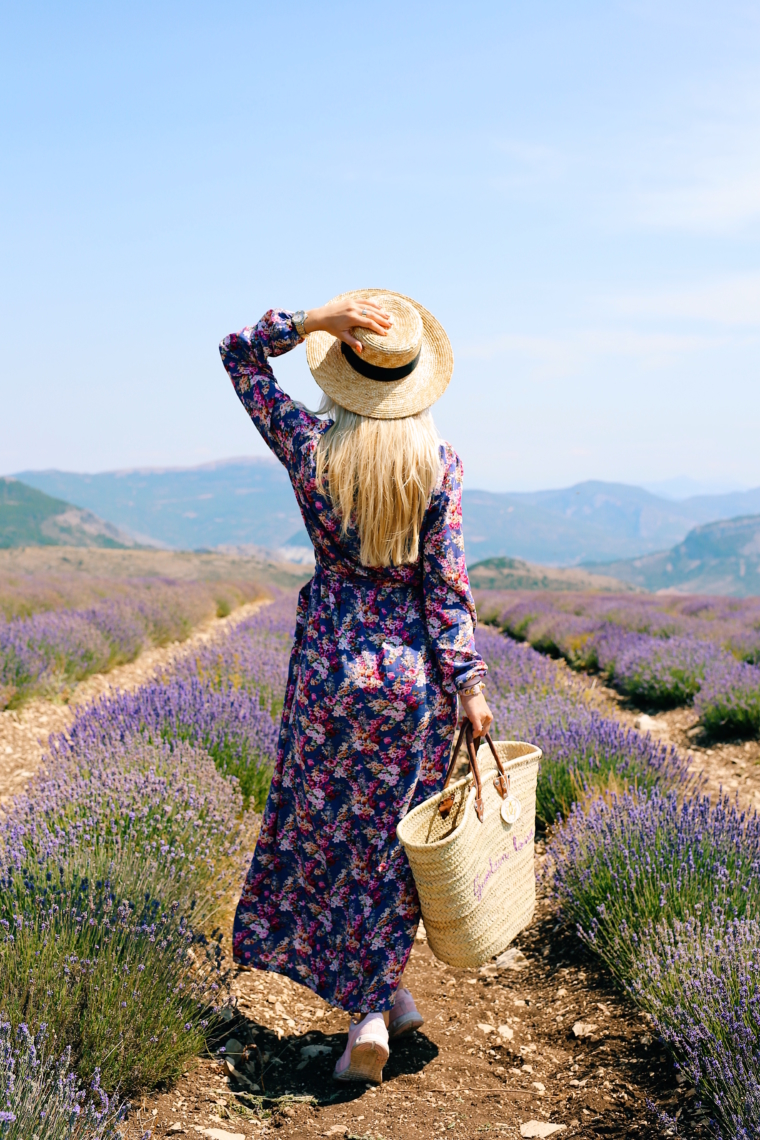 provence lavender fields photo location perfect france