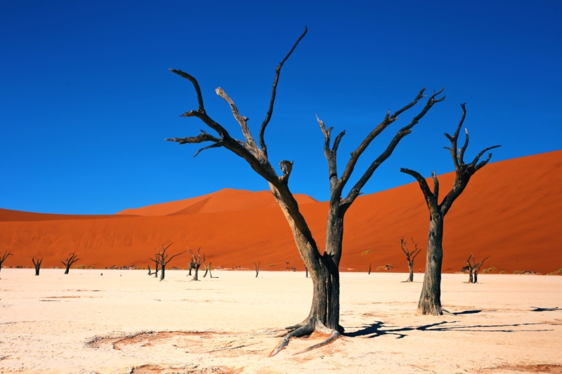 namibia sossusvlei