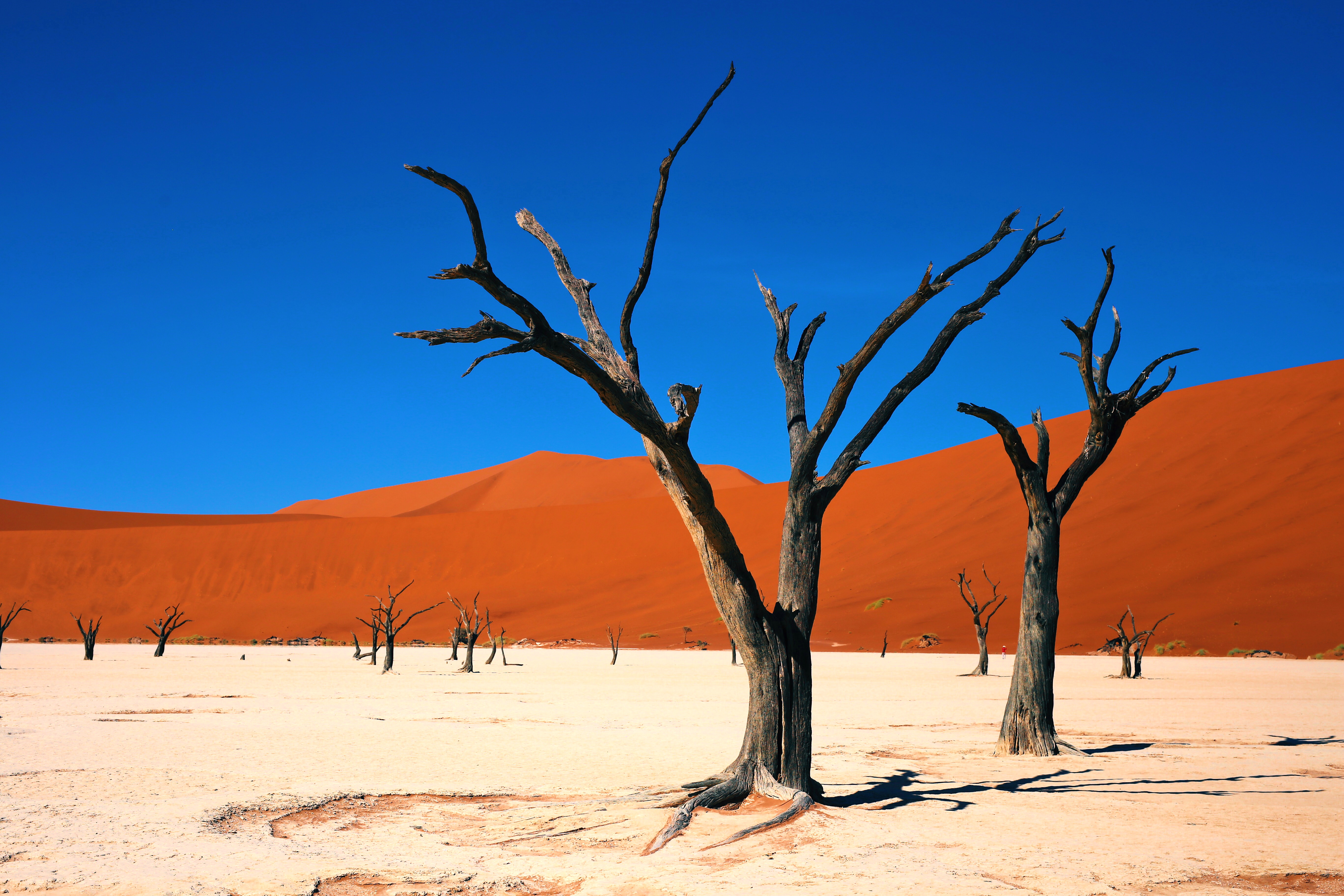 namibia sossusvlei