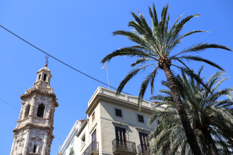 valencia, gebäude, blauer himmel, palmen