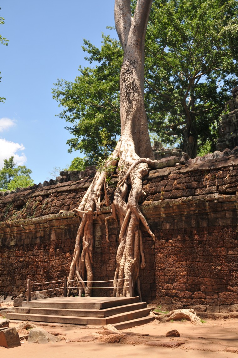 Cambodia
