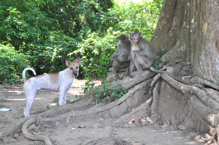 Cambodia