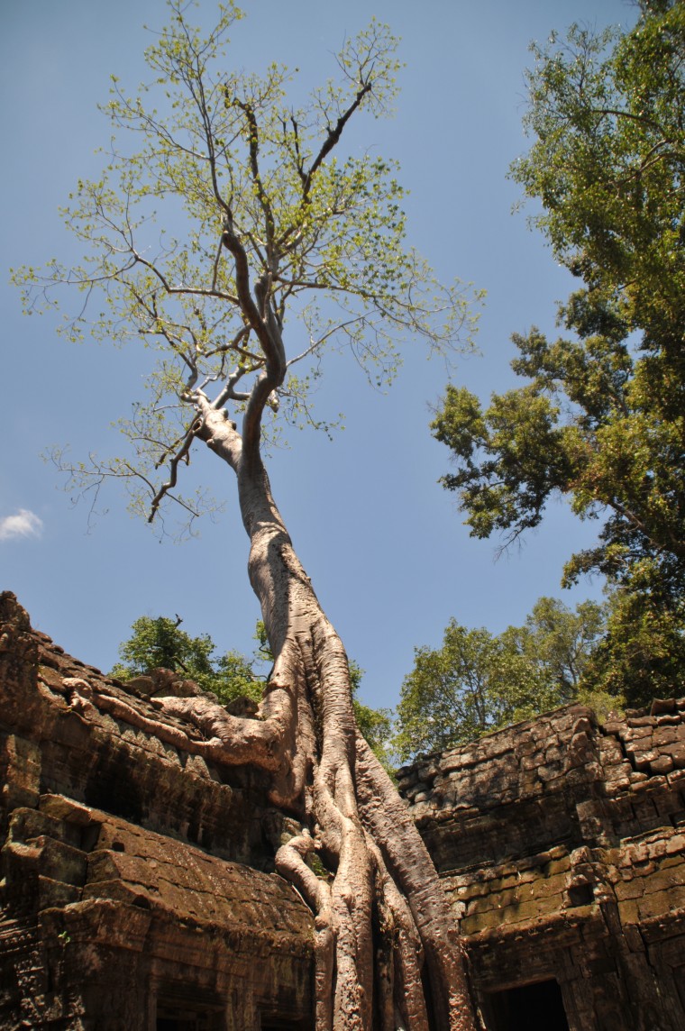 Cambodia