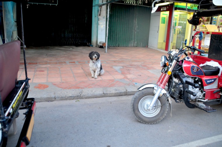 Cambodia