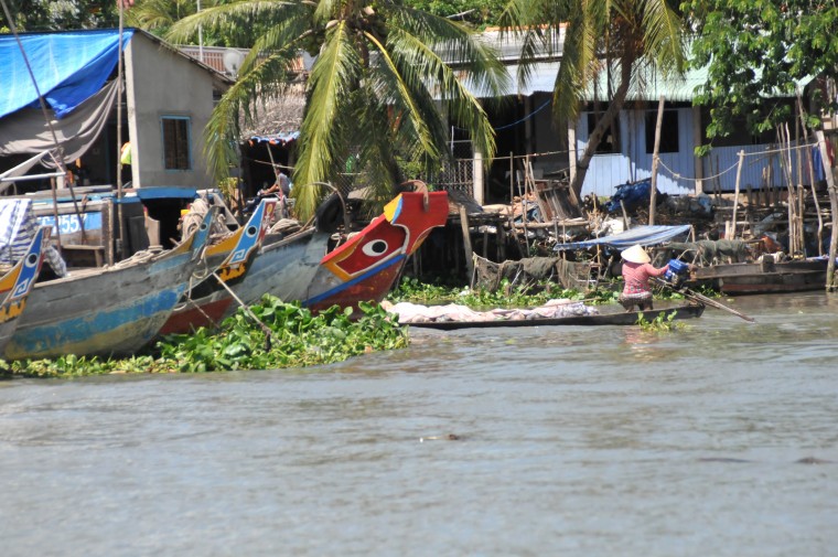 My Vietnam