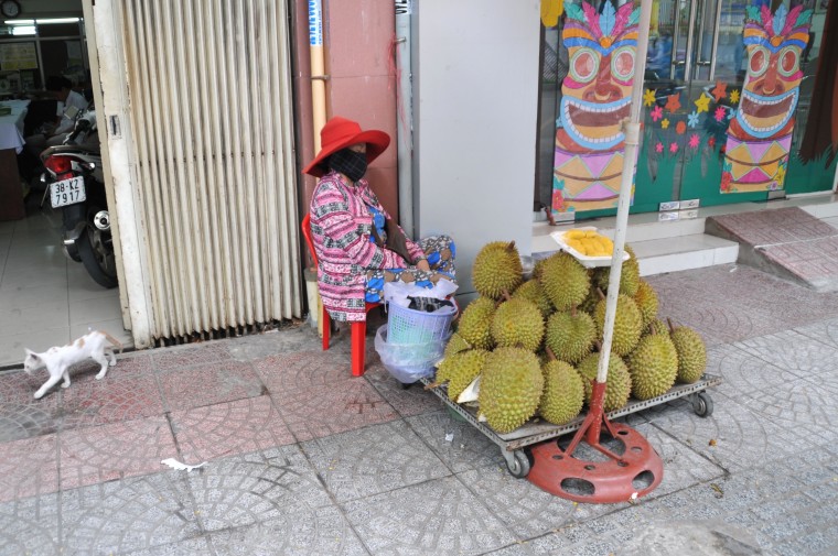 My Vietnam