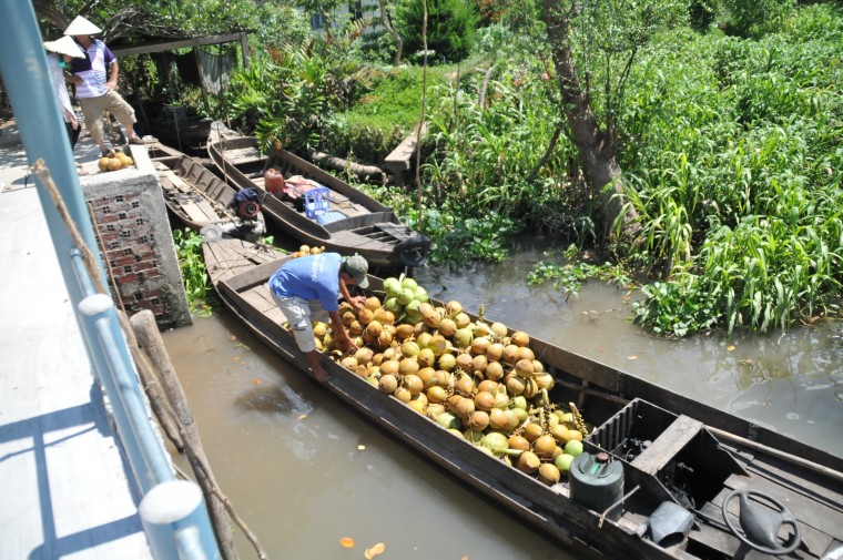 My Vietnam