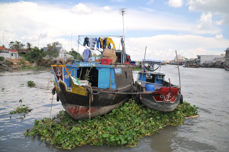 My Vietnam
