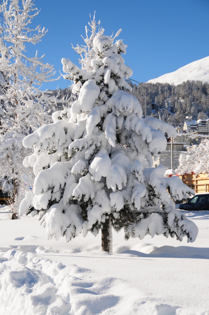 St.Moritz outdoor fun